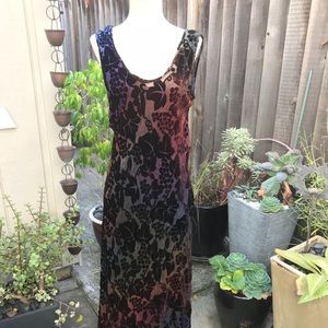 NWOT: Gorgeous Velvet Burnout Maxi Dress (S)